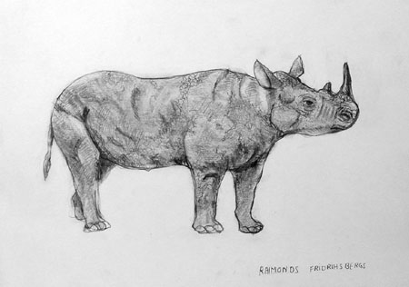 Rhinoceros