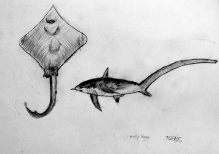 Fishes
