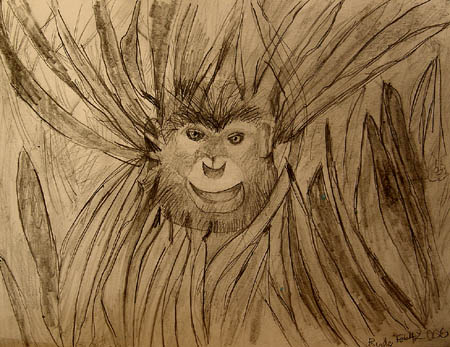 Monkey