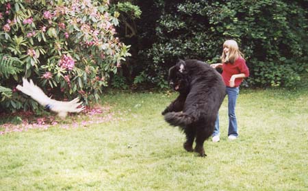 Polina_Semenova_at_play_with_Ben