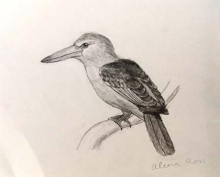 Alena_Ross._Bird