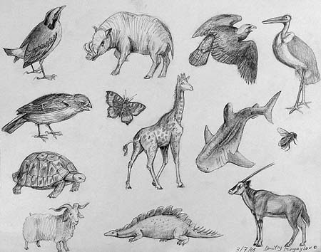 Dmitry_Minyailov._Sketches_1