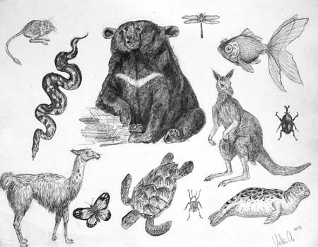 Viktoriya_Aleksandruk._Sketches_1