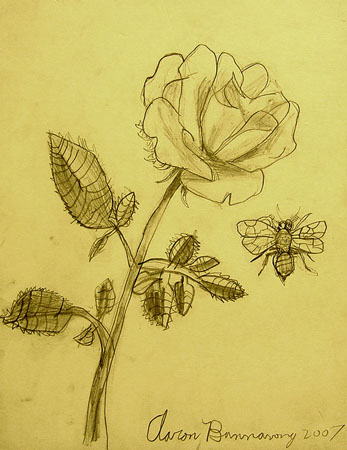 A_rose_and_a_bee