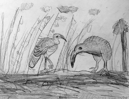 Birds
