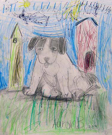 Dog