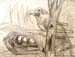 Nest