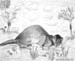 Polecat