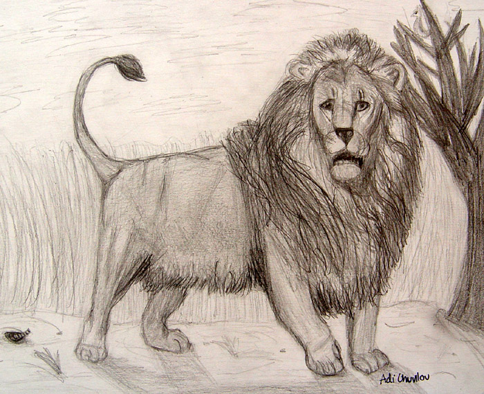 Lion