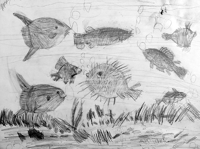 Fish