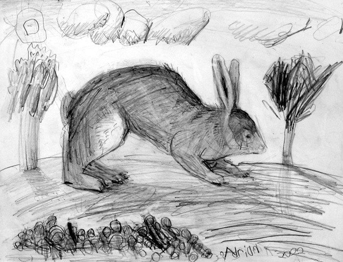 Rabbit