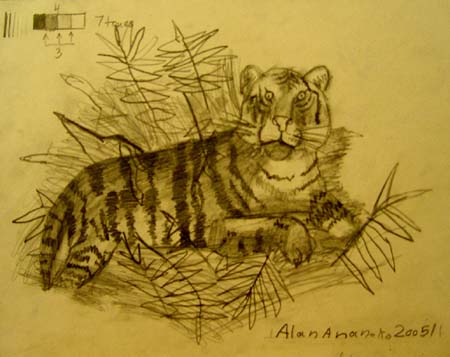 Tiger