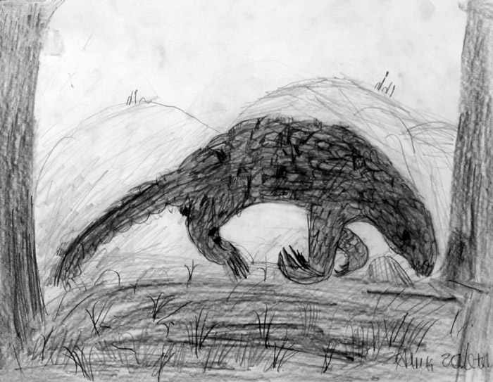 Armadillo