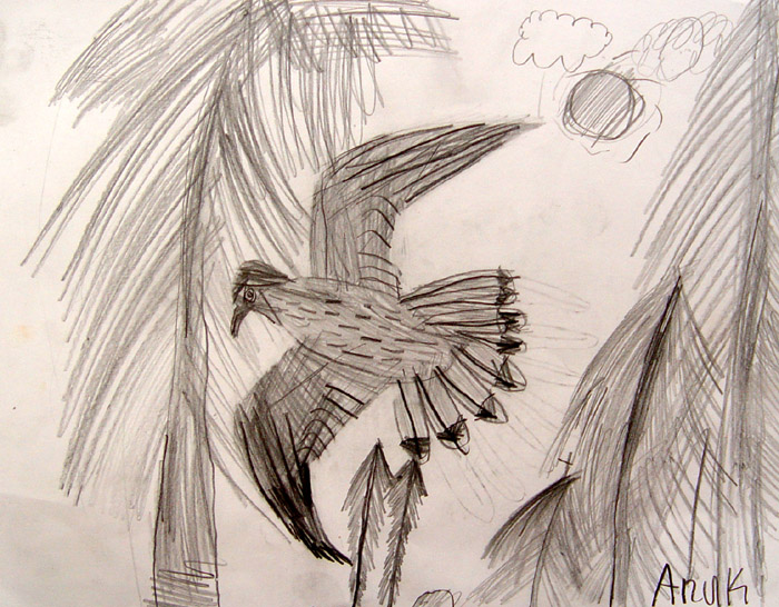 Bird