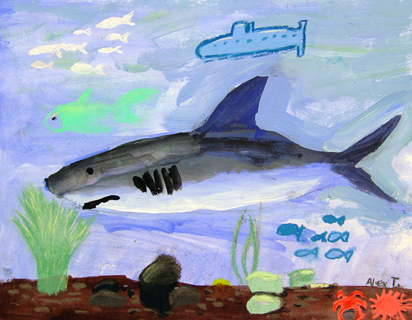 Shark