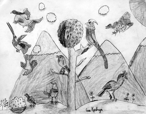 Birds_2