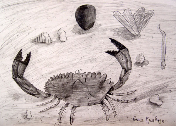 Crab