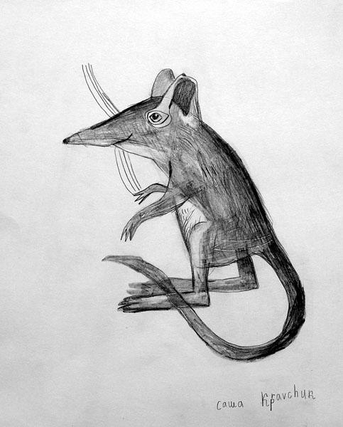 Mouse_1