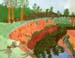 Landscape_1