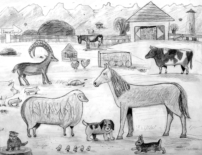 Animals_1