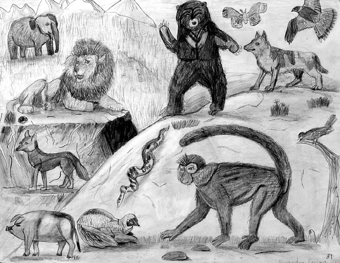 Animals_2