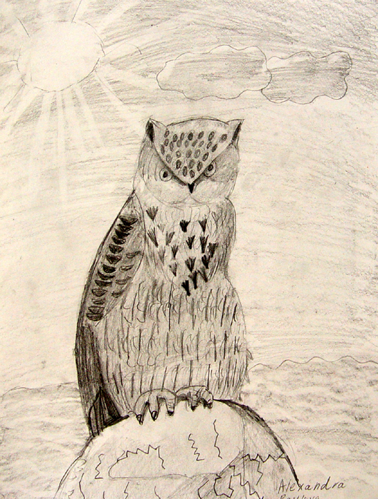 Owl