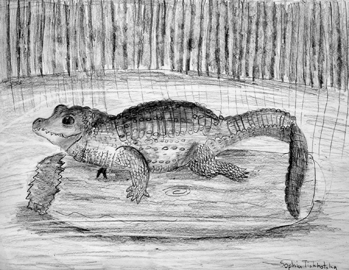 Alegator