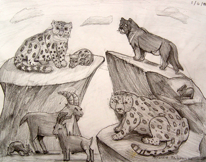 Animals