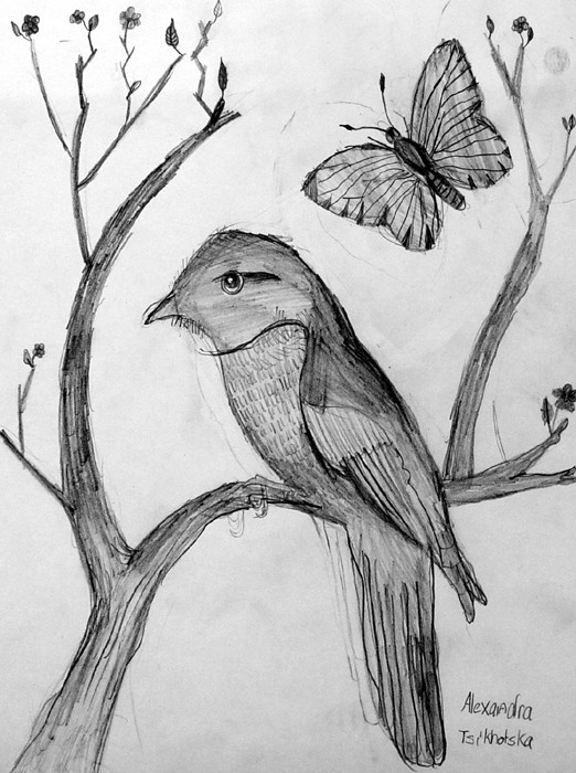 Bird