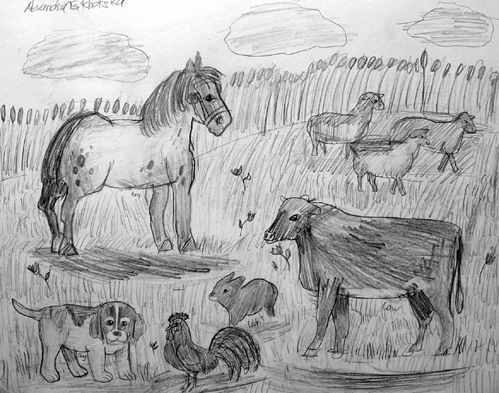 Farm