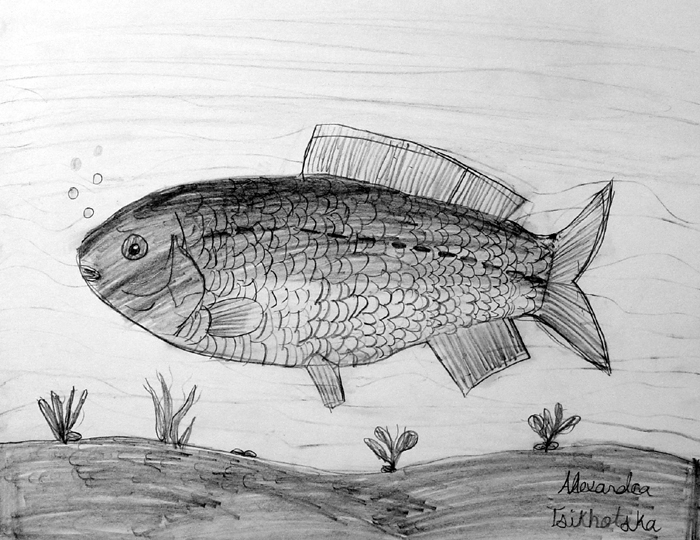 Fish