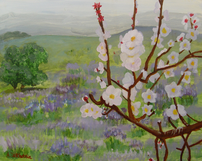 Landscape_6