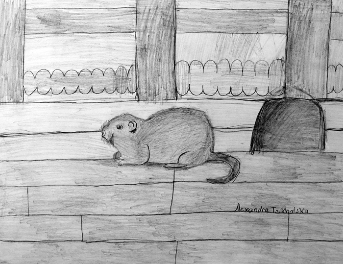 Mouse