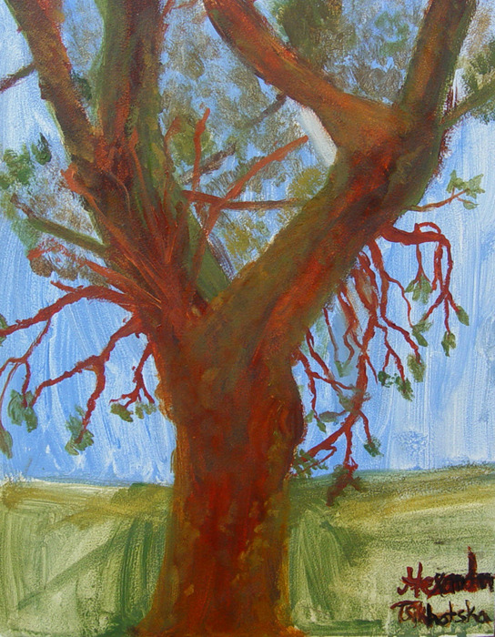 Plein-air_2014