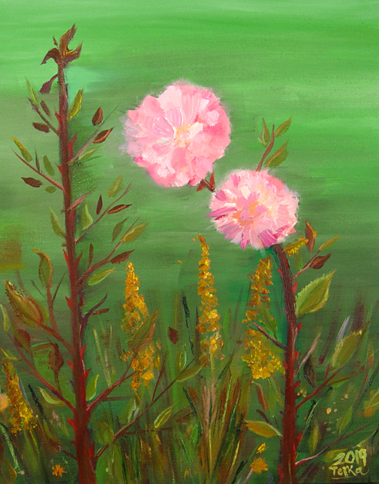 Plein-air_2019