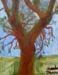 Plein-air_2014