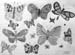 Sketches_2