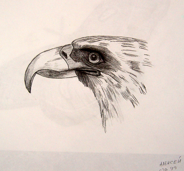 Eagle