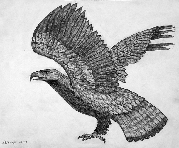 Eagle_2