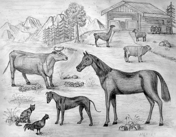 Farm