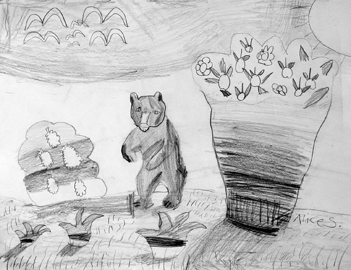 Bear