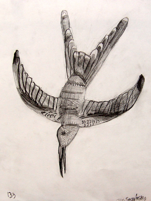 Bird