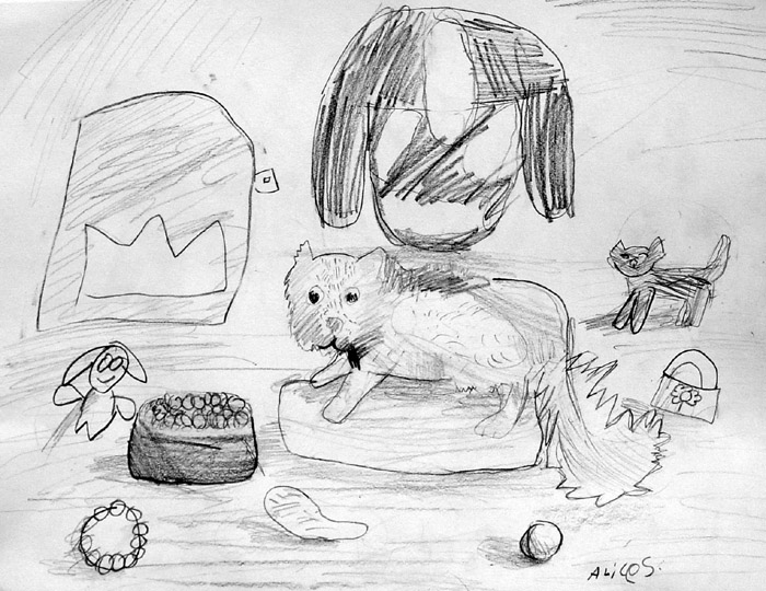 Cat