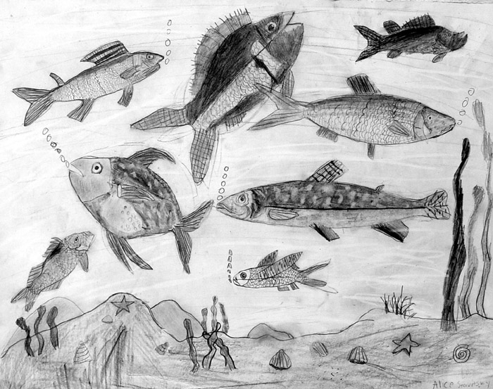 Fish