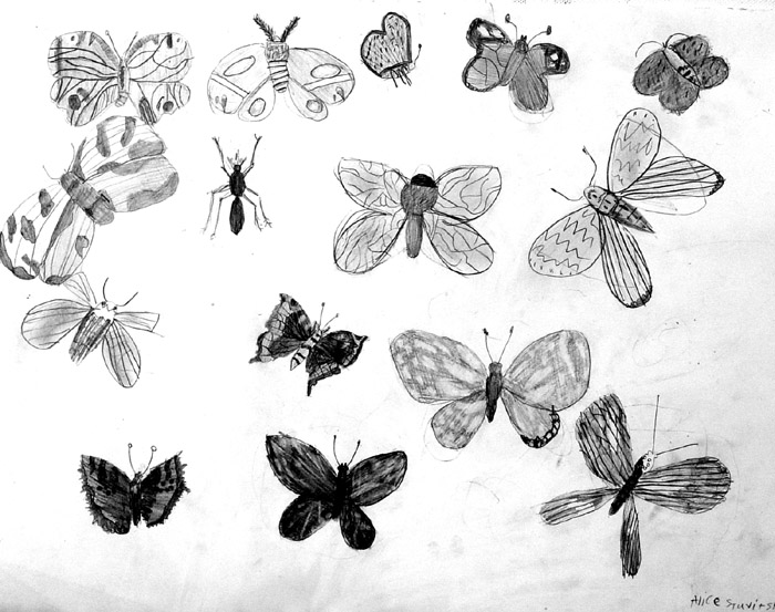 Insects