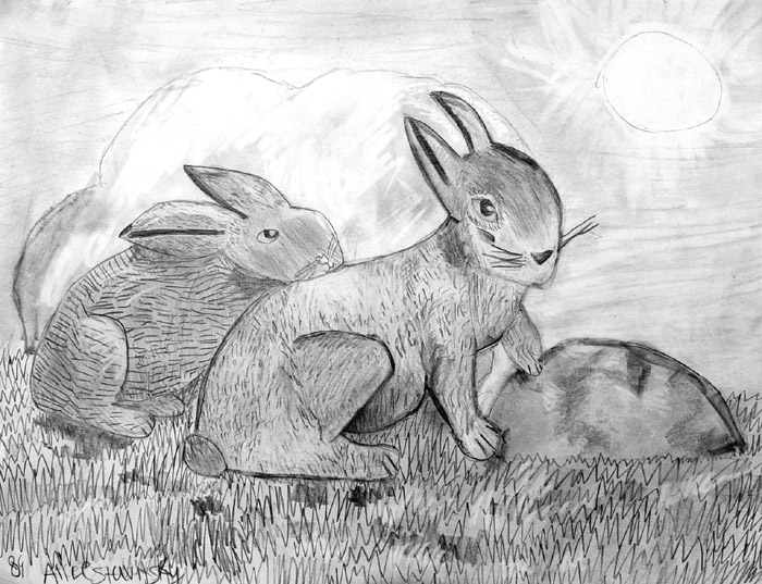 Rabbits