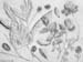 Sketches