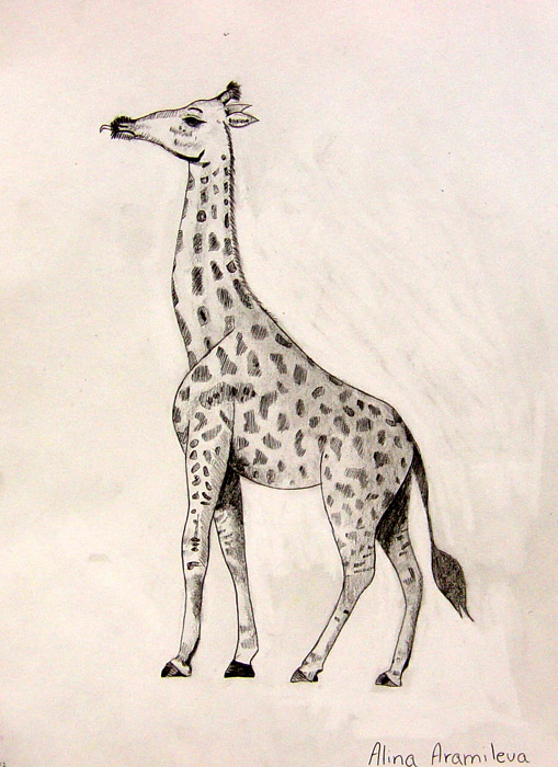 Giraffe