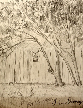 Sketch