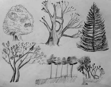 Sketches_2
